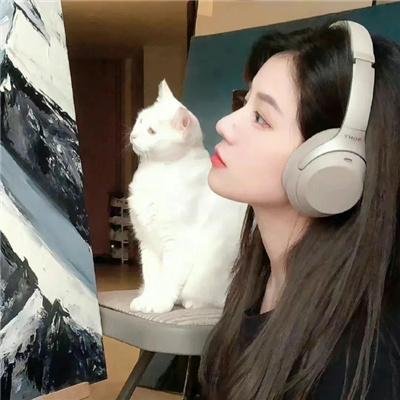 出租天使